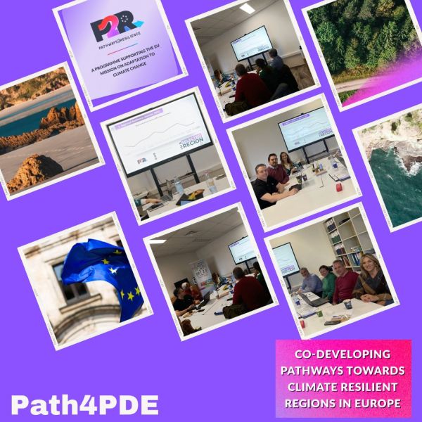 Kick off Meeting of the PAth4PDE Project